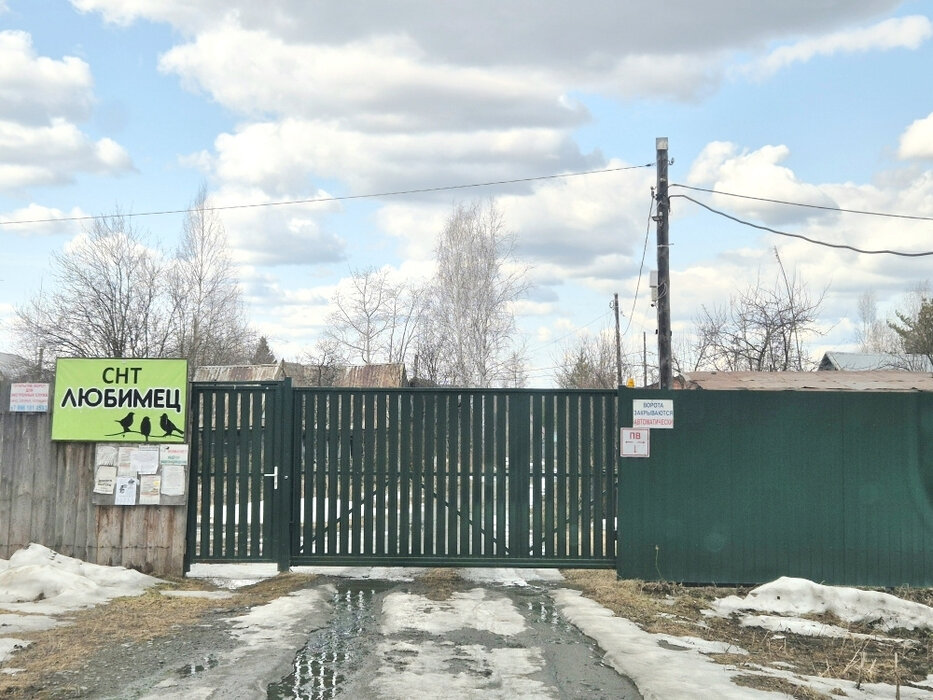 Екатеринбург, к/с Любимец, уч. 56 - фото сада (1)