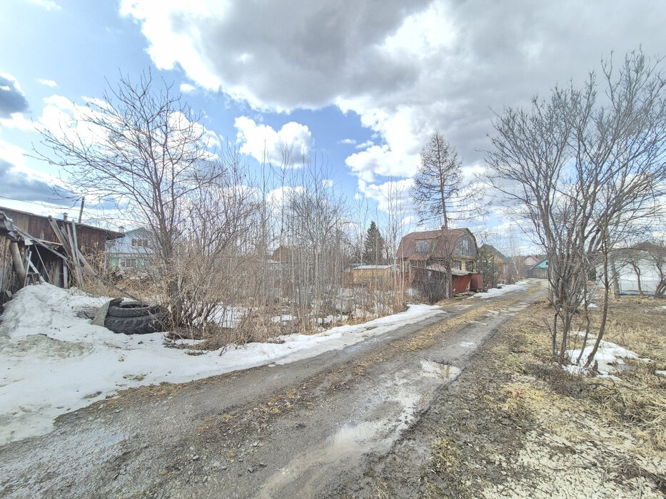 Екатеринбург, к/с Любимец, уч. 56 - фото сада (2)