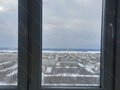 Продажа квартиры: Екатеринбург, ул. Пехотинцев, 2а (Новая Сортировка) - Фото 8