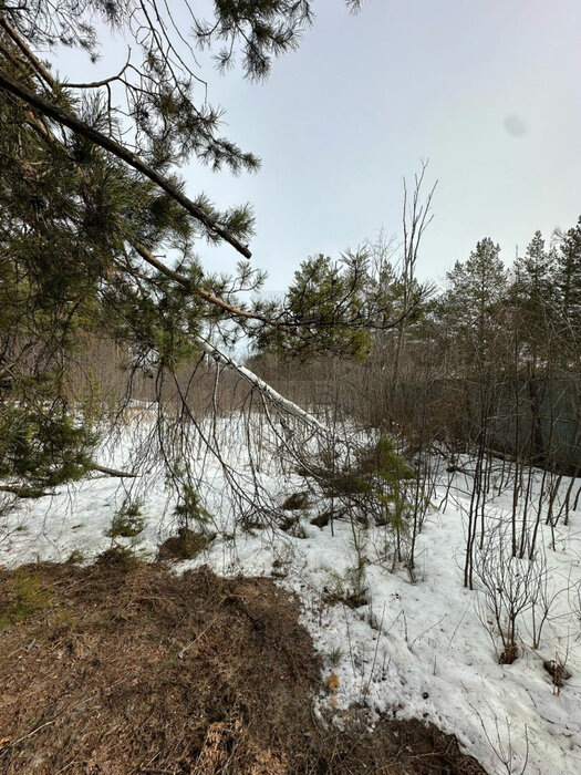 г. Дегтярск, ул. Стахановцев, 105 (городской округ Город Дегтярск) - фото земельного участка (3)