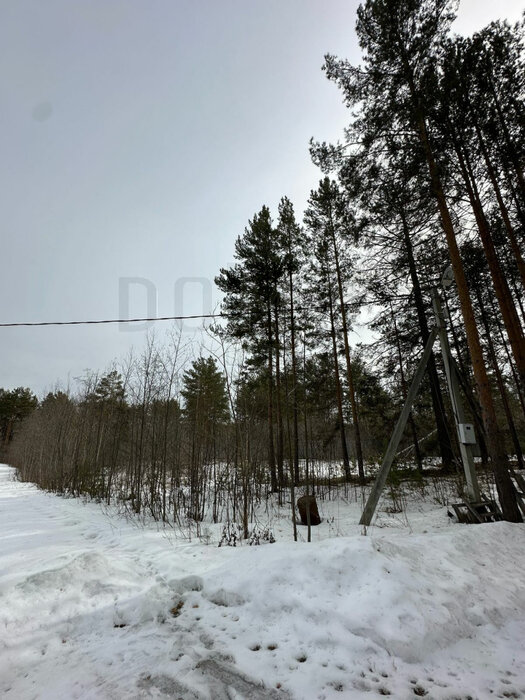 г. Дегтярск, ул. Стахановцев, 105 (городской округ Город Дегтярск) - фото земельного участка (4)