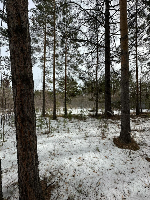 г. Дегтярск, ул. Стахановцев, 105 (городской округ Город Дегтярск) - фото земельного участка (5)