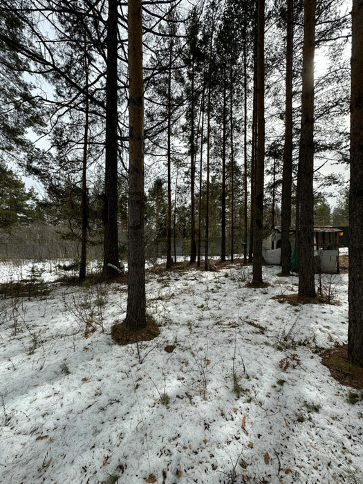 г. Дегтярск, ул. Стахановцев, 105 (городской округ Город Дегтярск) - фото земельного участка (6)