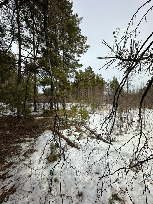 г. Дегтярск, ул. Стахановцев, 105 (городской округ Город Дегтярск) - фото земельного участка (7)