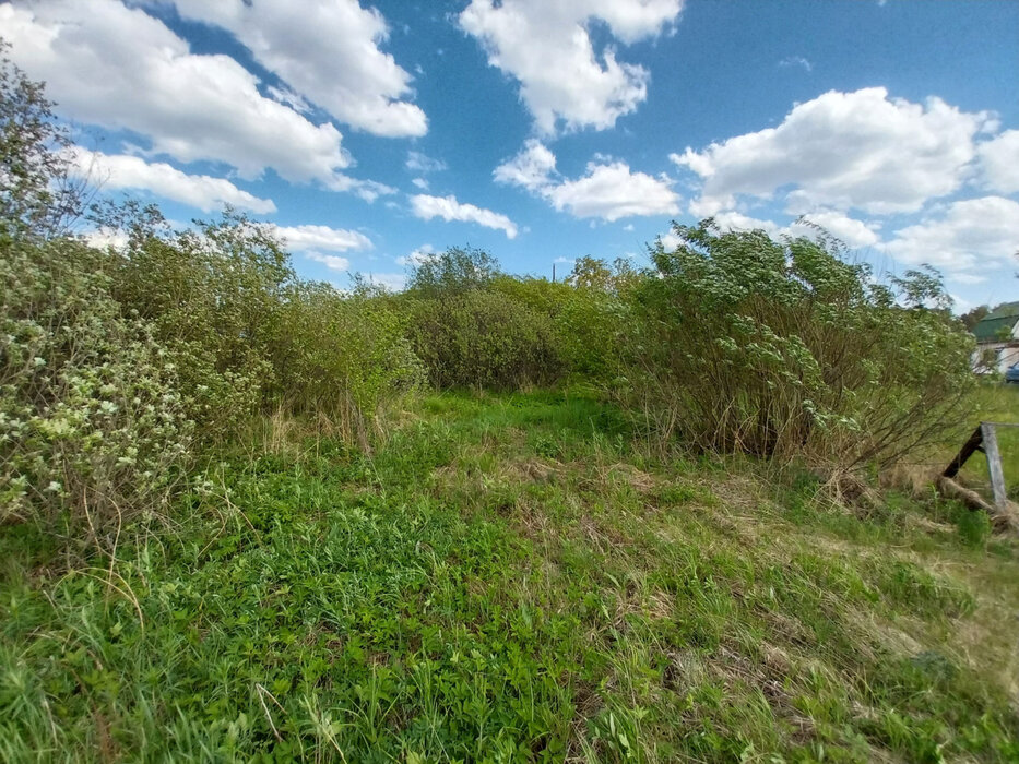пгт. Билимбай, к/с Поляна (городской округ Первоуральск) - фото сада (3)