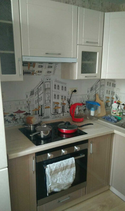 Екатеринбург, ул. Хрустальная, 51 (Синие Камни) - фото квартиры (3)