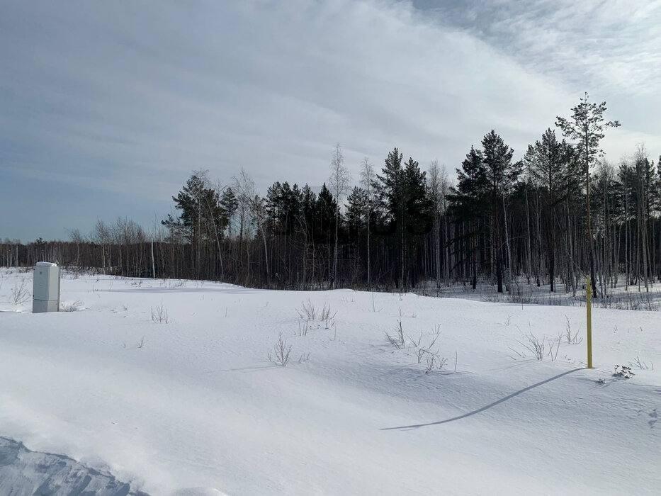 п. Прохладный, ул. Чайкиных, 4 (городской округ Белоярский) - фото земельного участка (1)