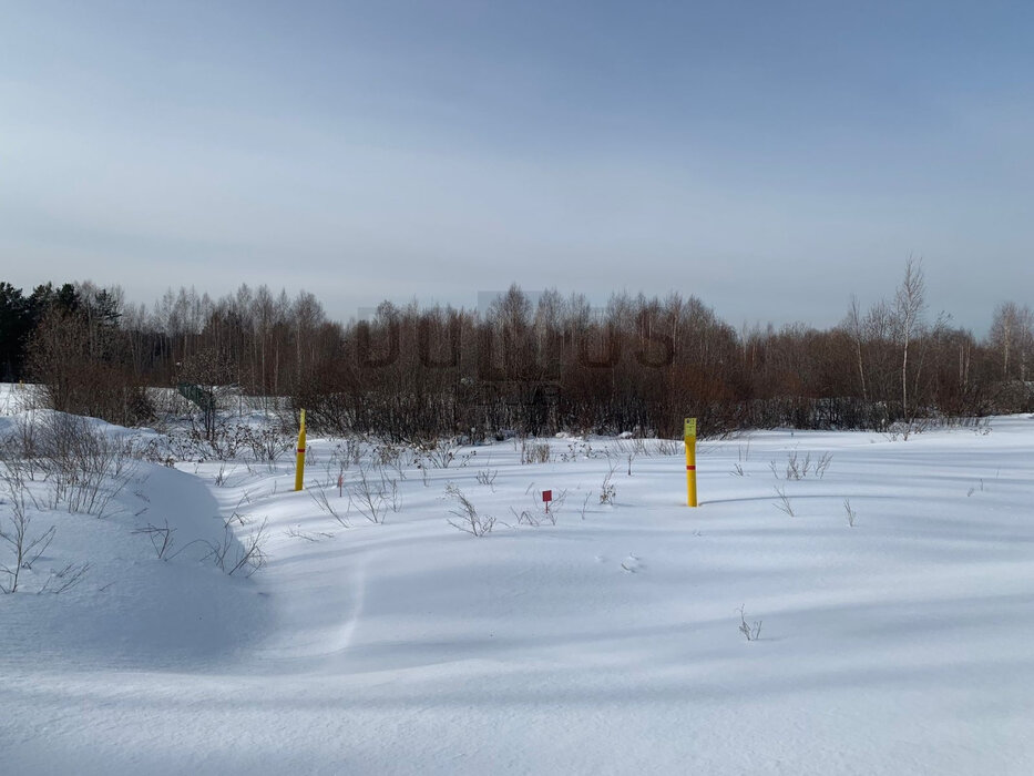 п. Прохладный, ул. Чайкиных, 4 (городской округ Белоярский) - фото земельного участка (5)