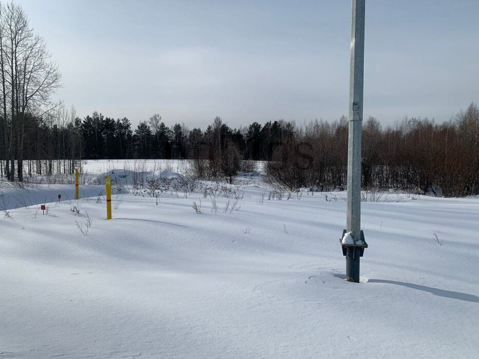 п. Прохладный, ул. Чайкиных, 4 (городской округ Белоярский) - фото земельного участка (6)