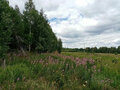 Продажа земельного участка: с. Кунгурка, ул. Жукова,   (городской округ Ревда) - Фото 3