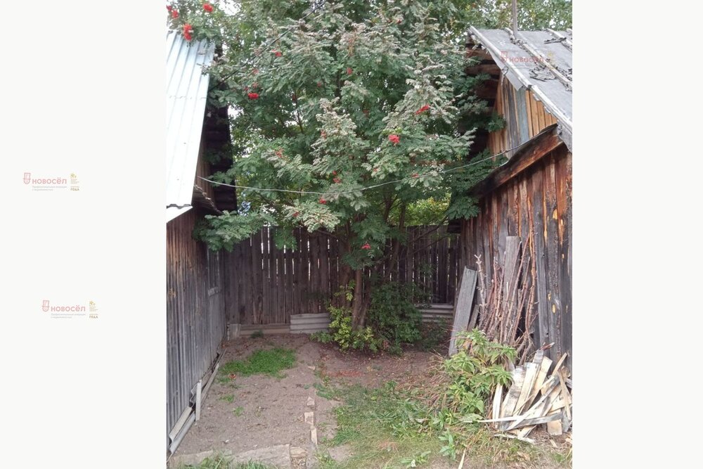 д. Златогорова, ул. Ленина, 46 (городской округ Белоярский) - фото земельного участка (8)