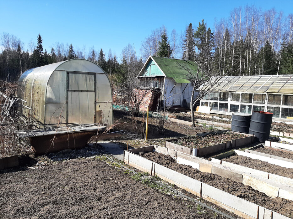 п. Сагра, СНТ  Сагра 8 (городской округ Верхняя Пышма) - фото сада (3)