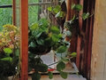 Продажа квартиры: Екатеринбург, ул. Стачек, 7 (Эльмаш) - Фото 1