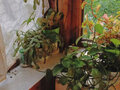 Продажа квартиры: Екатеринбург, ул. Стачек, 7 (Эльмаш) - Фото 2