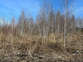 Продажа земельного участка: Екатеринбург, ул. Большая Георгиевская , 13-я линия, 16 (Исток) - Фото 1