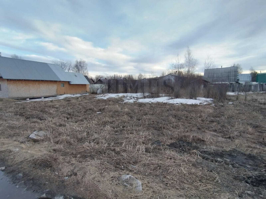 п. Большой Исток, СНТ Уралец (городской округ Сысертский) - фото сада (4)