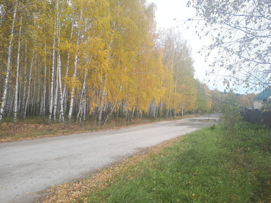 с. Черданцево, ул. Ленина, 71 А (городской округ Сысертский) - фото земельного участка (2)
