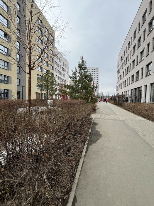 Екатеринбург, ул. Евгения Савкова, 29 (Широкая речка) - фото квартиры (4)