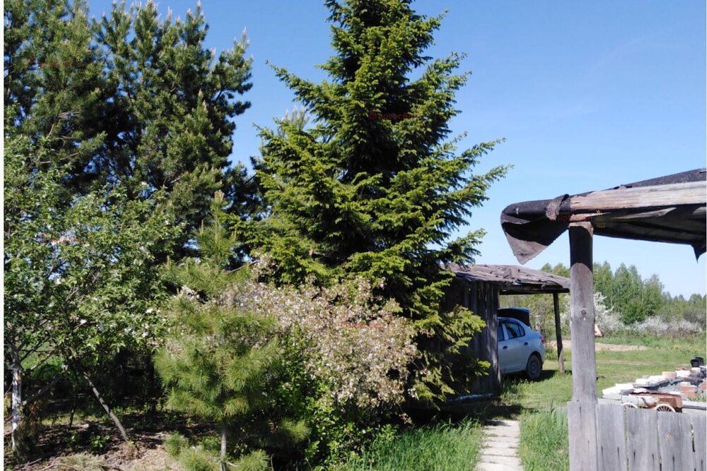 с. Светлое, к/с Светлое (городской округ  Сухой Лог) - фото сада (5)