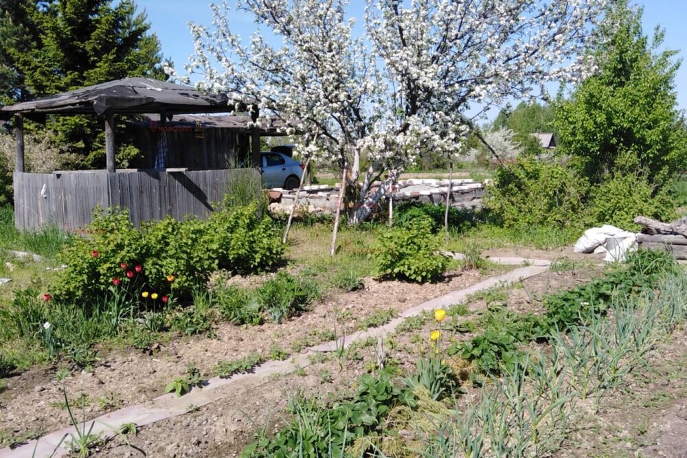 с. Светлое, к/с Светлое (городской округ  Сухой Лог) - фото сада (7)