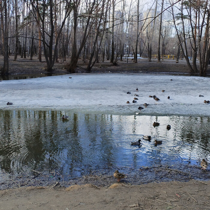 Екатеринбург, ул. Сызранский, 17 (Вторчермет) - фото квартиры (1)