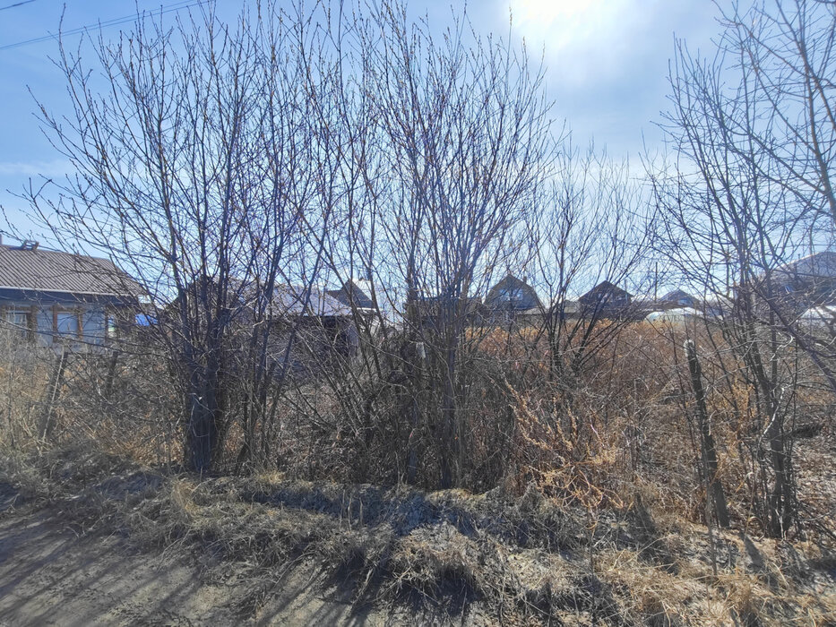 Екатеринбург, Змеиная Горка (Птицефабрика) - фото сада (7)
