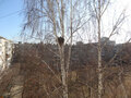 Продажа квартиры: Екатеринбург, ул. Викулова, 33/3 (ВИЗ) - Фото 5