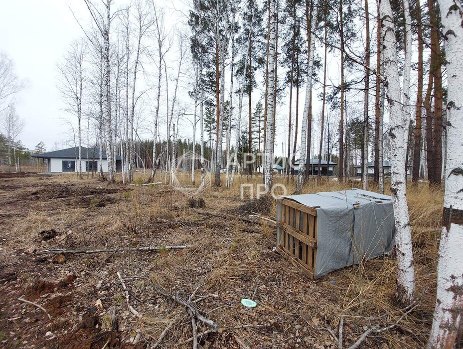 с. Курганово, ул. Еловая, 2 (городской округ Полевской) - фото земельного участка (5)