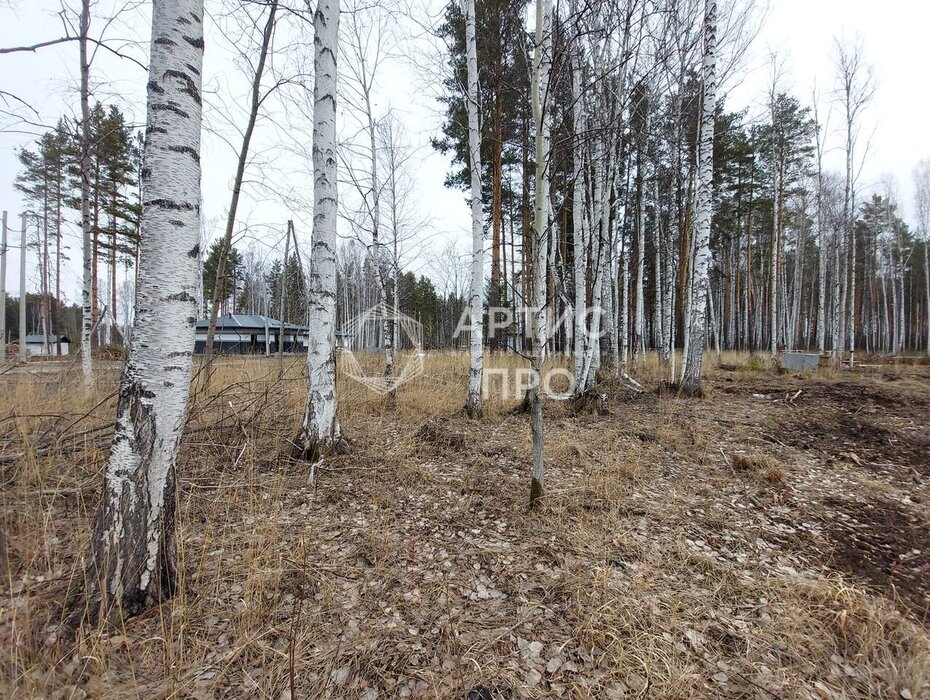 с. Курганово, ул. Еловая, 2 (городской округ Полевской) - фото земельного участка (6)