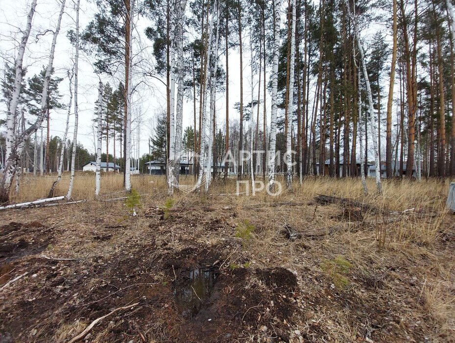 с. Курганово, ул. Еловая, 2 (городской округ Полевской) - фото земельного участка (7)