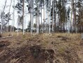 Продажа земельного участка: с. Курганово, ул. Еловая, 2 (городской округ Полевской) - Фото 7