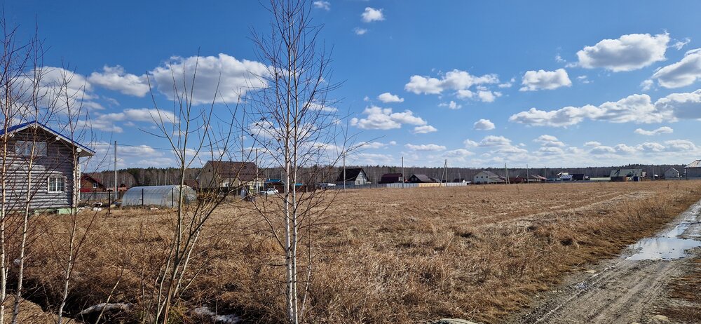 к.п. Журавли (городской округ Сысертский, с. Черданцево) - фото земельного участка (2)