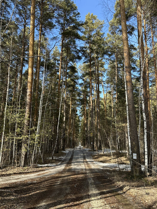 г. Березовский, коллективный сад №28, участок №46 (городской округ Березовский) - фото сада (1)
