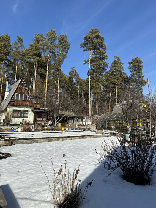 г. Березовский, коллективный сад №28, участок №46 (городской округ Березовский) - фото сада (6)