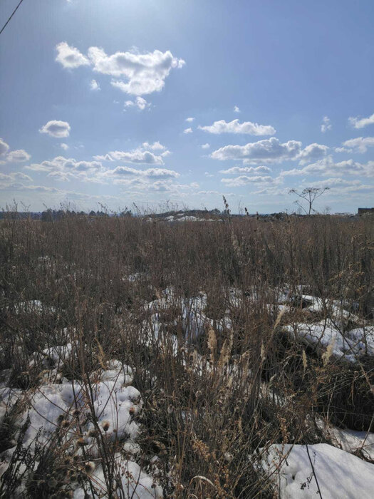 г. Березовский, ул. Первоцветная, 13 (городской округ Березовский) - фото земельного участка (6)