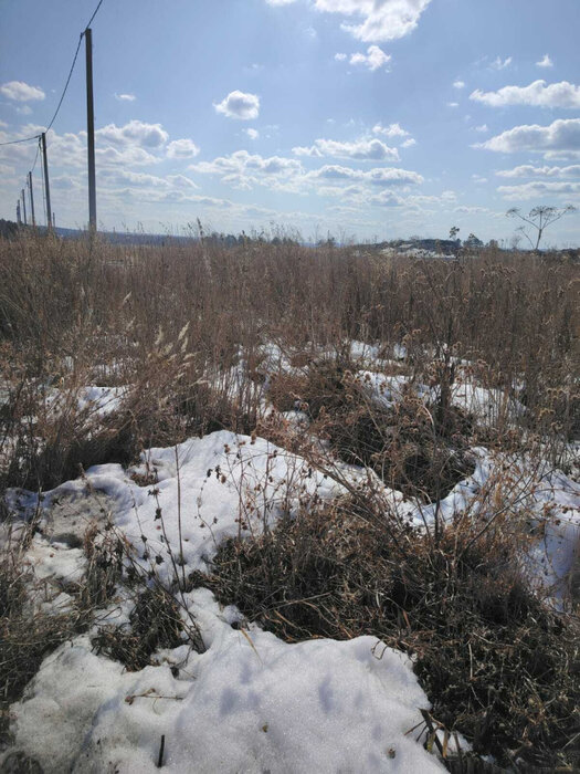 г. Березовский, ул. Первоцветная, 13 (городской округ Березовский) - фото земельного участка (7)