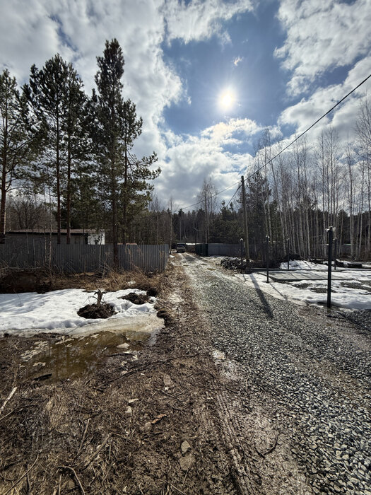 Екатеринбург, СНТ Лесной - фото сада (1)