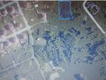 Продажа земельного участка: к.п. Золотая горка, ул. Никольская, 5 (городской округ Среднеуральск, д. Коптяки) - Фото 3