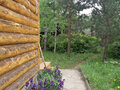 Продажа садового участка: с. Кашино, СТ Черемшанка (городской округ Сысертский) - Фото 3