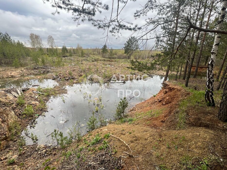 г. Березовский, № 89 Нива, уч. 89 (городской округ Березовский) - фото сада (6)