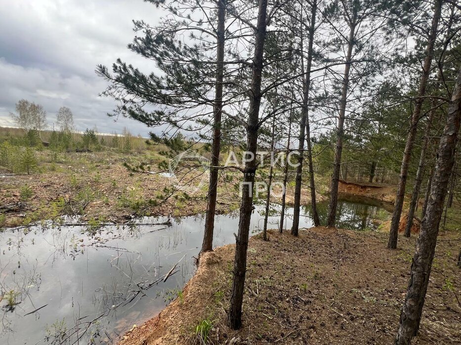 г. Березовский, № 89 Нива, уч. 89 (городской округ Березовский) - фото сада (7)