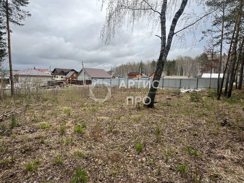 г. Березовский, № 89 Нива, уч. 89 (городской округ Березовский) - фото сада (8)