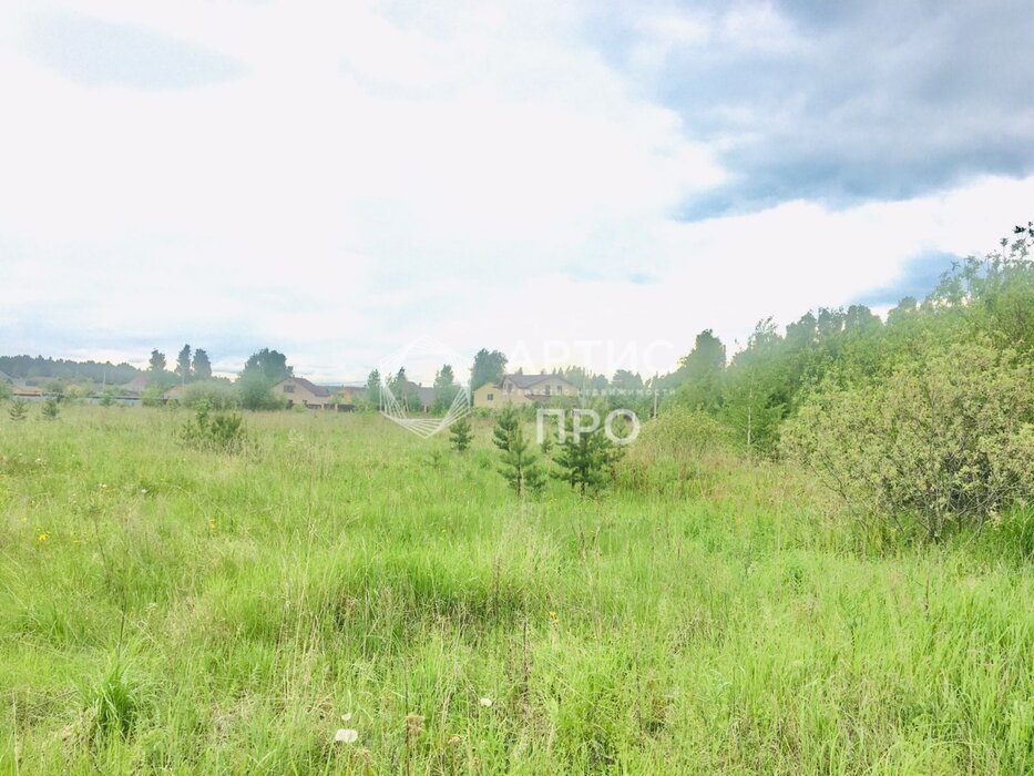 с. Балтым, ул. Солнечная Поляна (городской округ Верхняя Пышма) - фото земельного участка (4)