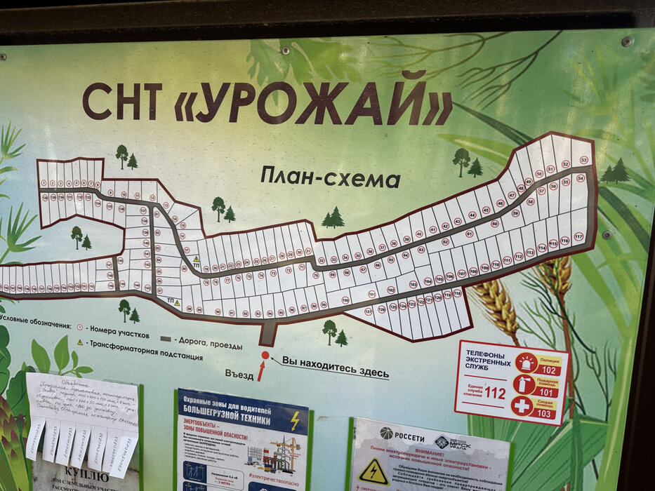 с. Кашино, ул. ДНП Урожай (городской округ Сысертский) - фото земельного участка (7)