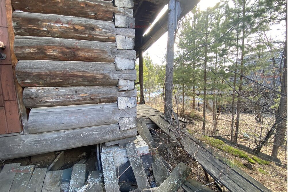 п. Гать, СНТ Прогресс (городской округ Верхняя Пышма) - фото сада (3)