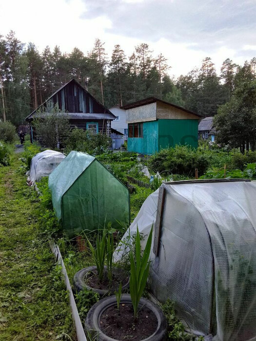 г. Асбест, Горняк - 6 (городской округ Асбестовский) - фото сада (3)