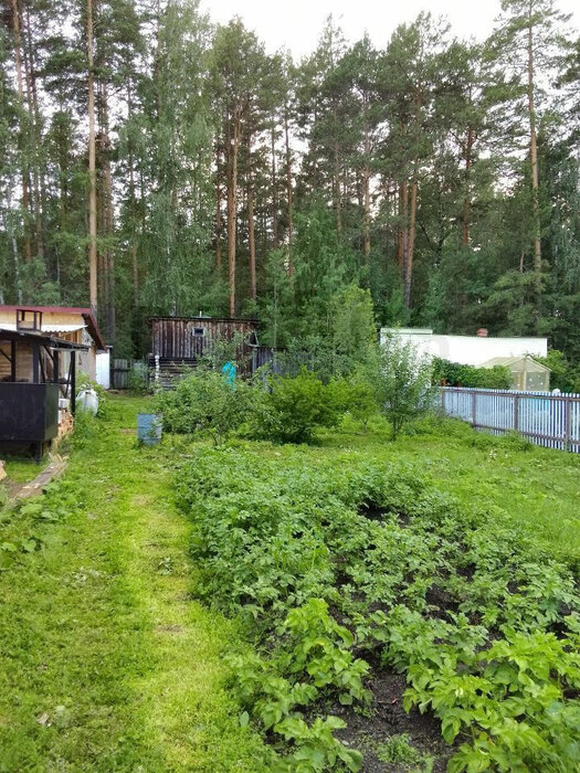 г. Асбест, Горняк - 6 (городской округ Асбестовский) - фото сада (4)
