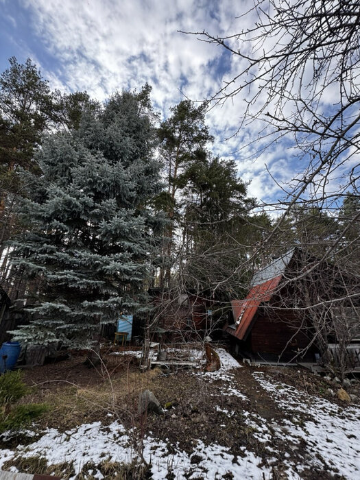 Екатеринбург, снт. Университет-1, уч. 66 (ВИЗ) - фото сада (3)
