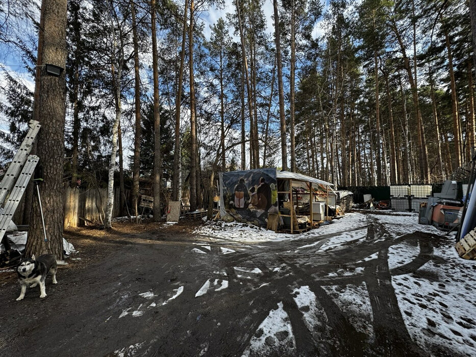Екатеринбург, снт. Университет-1, уч. 66 (ВИЗ) - фото сада (8)