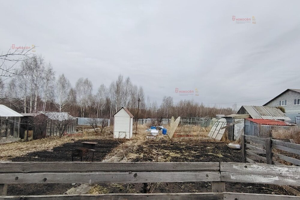 п. Большой Исток, к/с Березка, ул. Сиреневый, 10а (городской округ Сысертский) - фото сада (5)